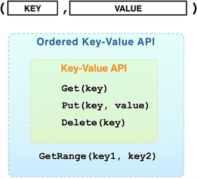 DVID: Distributed Versioned Image-Oriented Dataservice